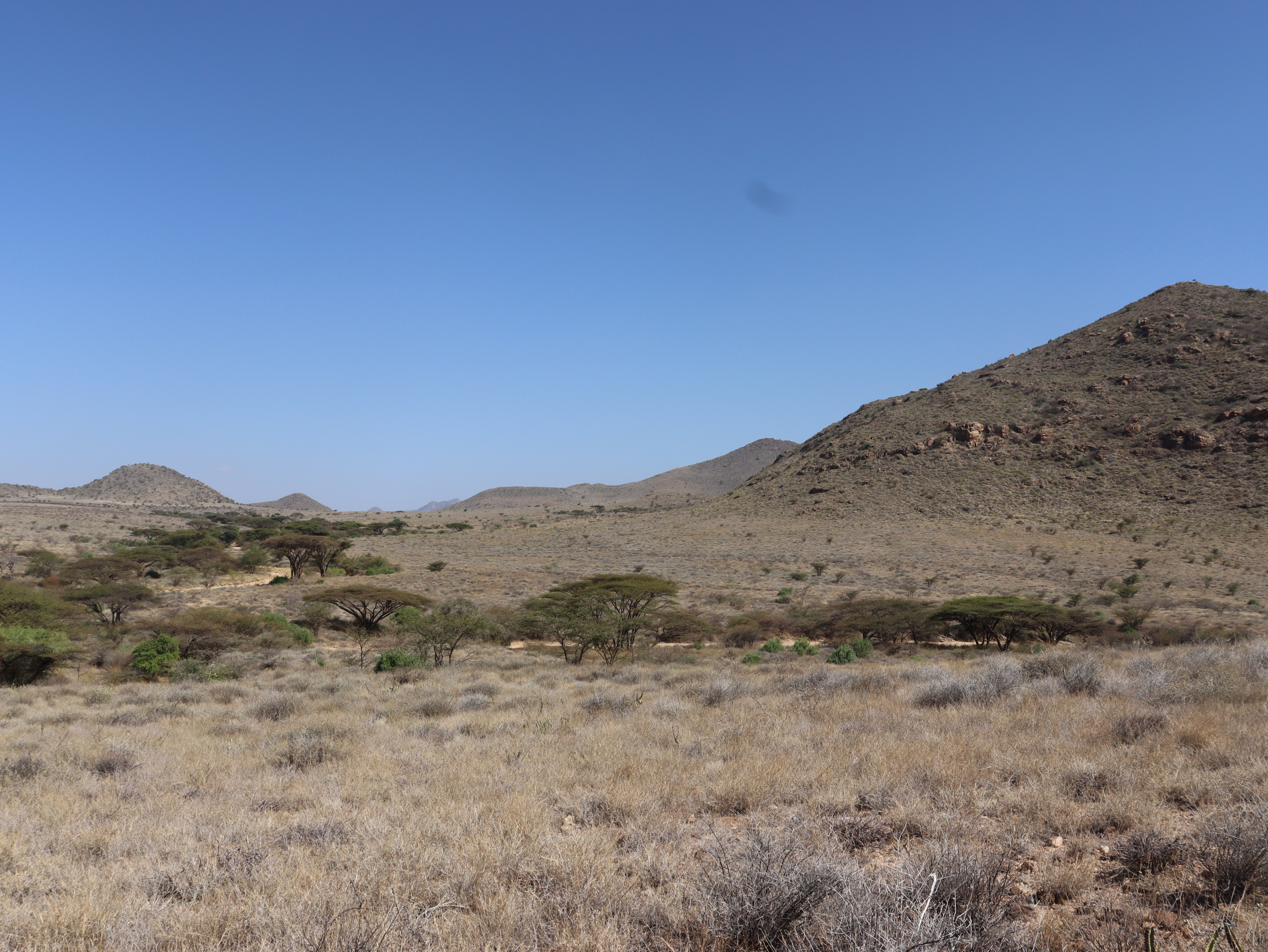 Rangeland restoration Samburu County